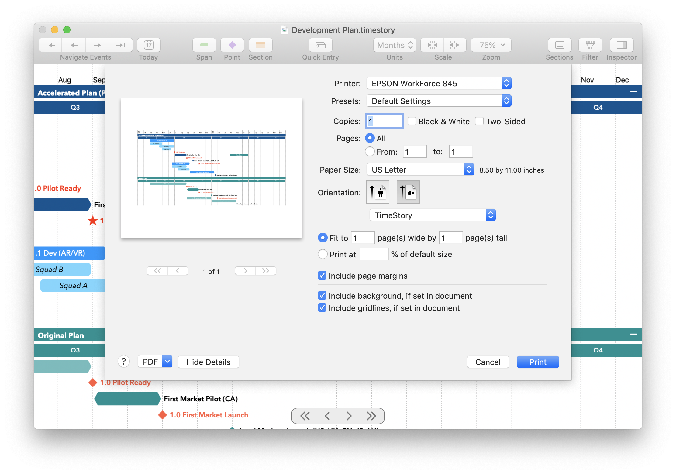 TimeStory printing screenshot](/img/1.3/printpanel.png
