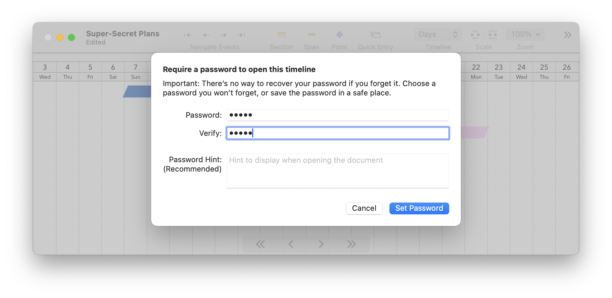 A TimeStory window with the Set Password dialog shown above it. There are inputs to enter the password (twice, for confirmation) and an optional password hint.